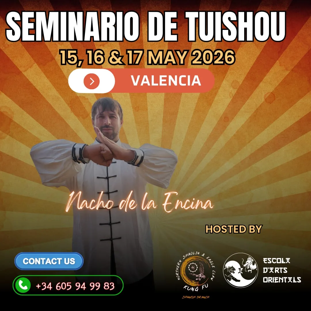 Seminario TuiShou con Nacho de la Encina