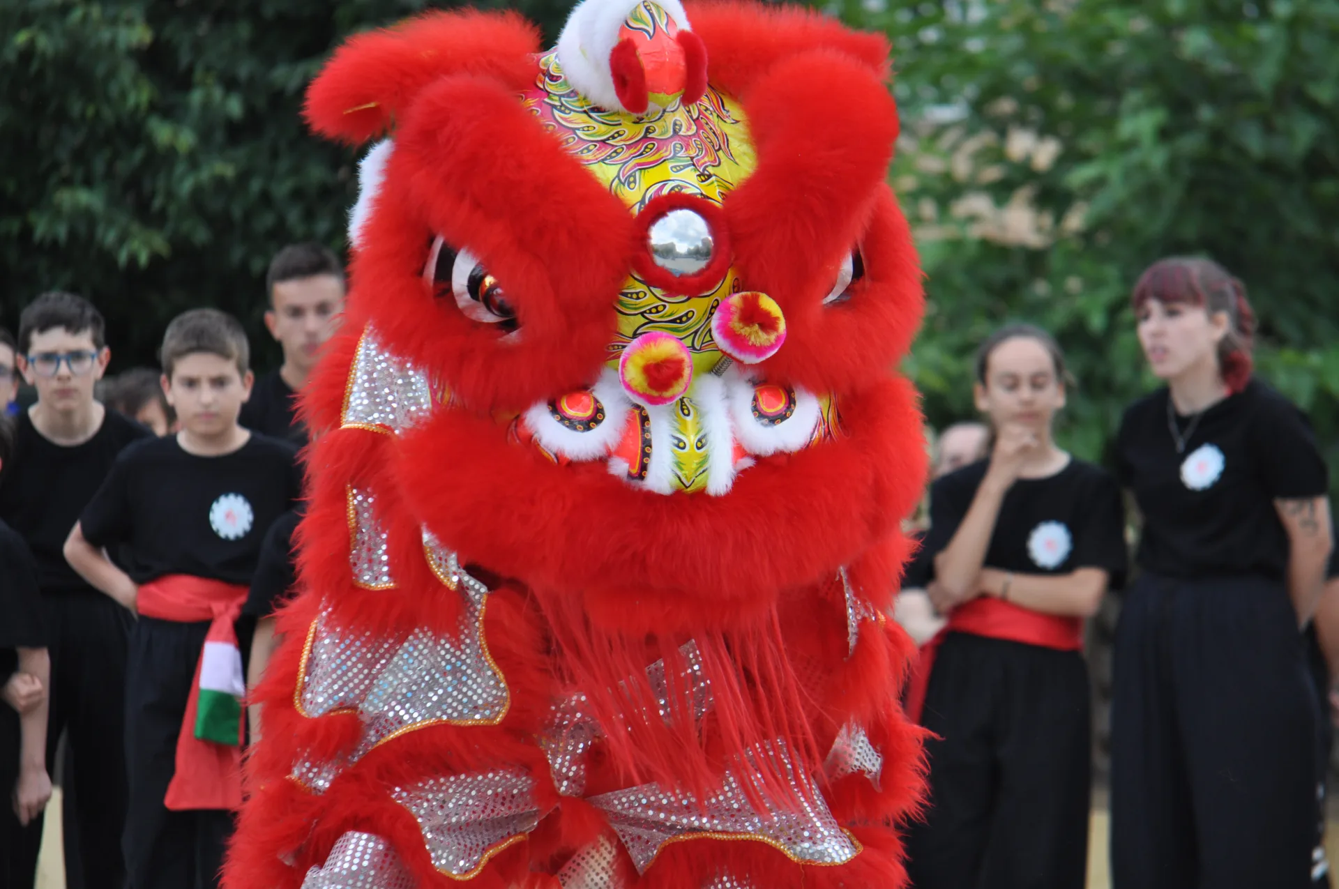Danzas del León y Dragón