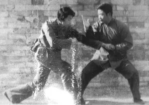 Historia y Características del Estilo Ying Shou Quan