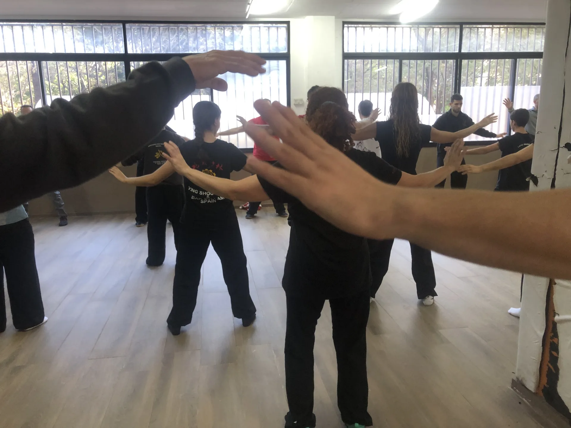 Taiji y Qigong