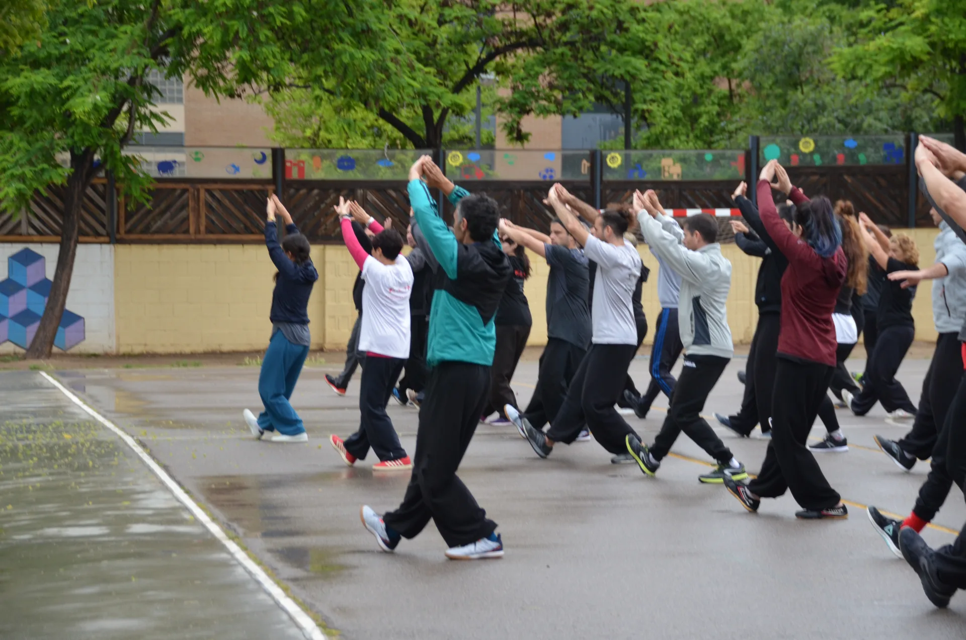 Taiji y Qigong