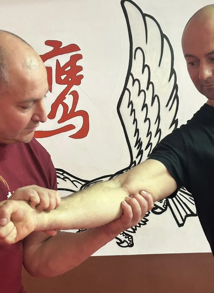 El Legado del estilo Ying Shou Quan - Qinna y Maestría de Guo Xian He