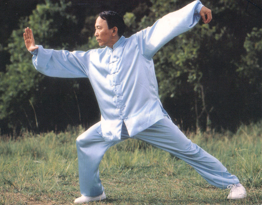 TEORIA BASICA DEL TAIJI - PRIMERA PARTE